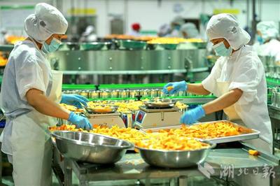 “農(nóng)企對(duì)接”穩(wěn)外貿(mào)促增收 食品銷(xiāo)售新引擎