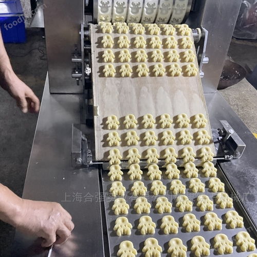 全自動(dòng)餅干果醬澆注機(jī)與餅干成型果醬連體機(jī) 驅(qū)動(dòng)食品銷(xiāo)售新增長(zhǎng)